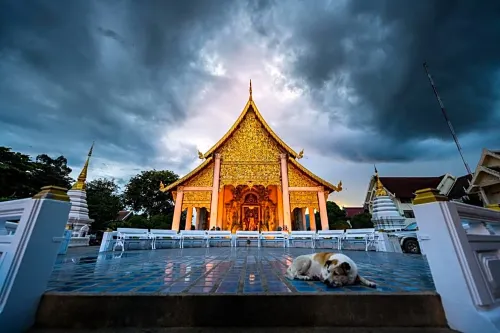 Pastell Oldtown Chiang Mai Near Hotel Photos