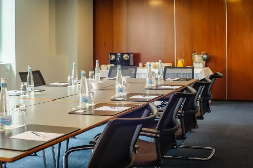 Lausanne Palace Business Photos