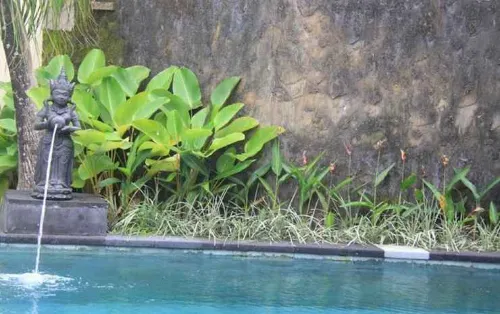 Nobody Inn Bali at Arya Guest House Loisirs et amusements Photos