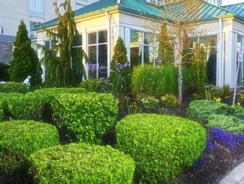 Hilton Garden Inn Niagara-on-The-Lake Exteriör Photos