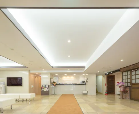 Shimizu City Hotel Aree comuni Photos