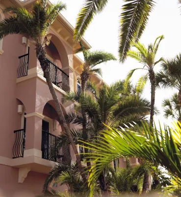 Tahitian Inn Boutique Hotel Tampa Außen Photos
