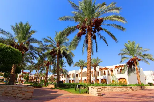 Coral Hills Resort Sharm El-Sheikh Public Areas Photos