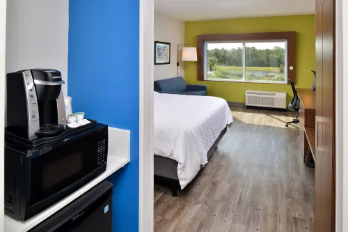 Holiday Inn Express Orlando - South Park Camere Photos