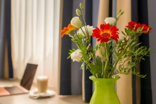 Novalis Hotel by Aurum Dresden Photos