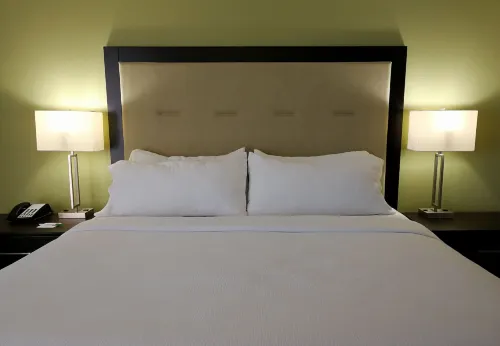 Holiday Inn Corpus Christi Downtown Marina Chambres Photos