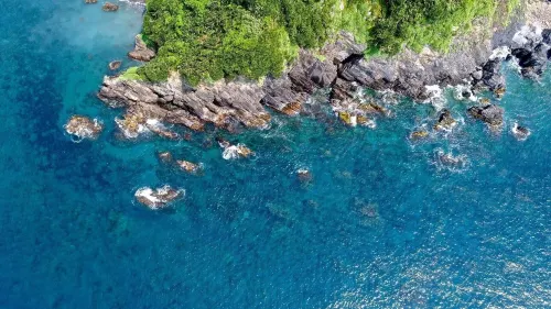 Sea Forest Homestay Near Hotel Photos