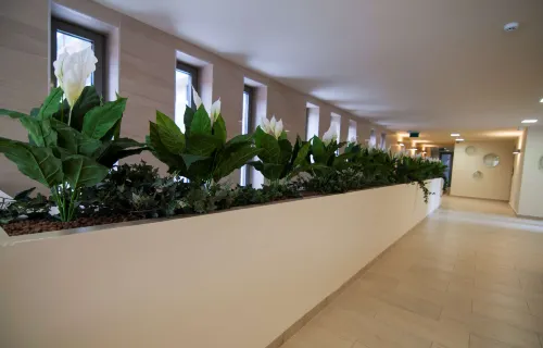 Corvin Center Suites Aree comuni Photos