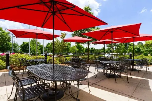 Hilton Garden Inn Atlanta East/Stonecrest Near Hotel Photos