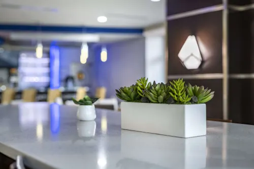 Cambria Hotel Ft Lauderdale, Airport South & Cruise Port Aree comuni Photos