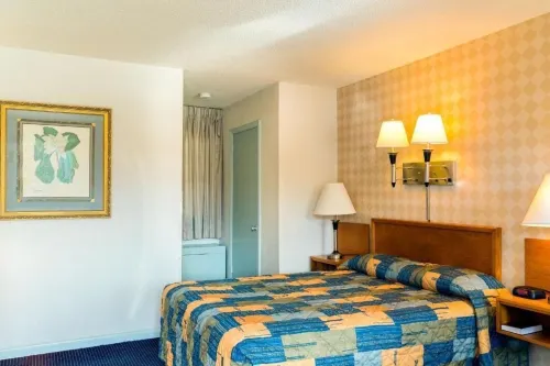Budget Host Alexandria Rooms Photos