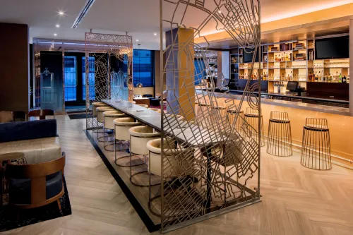 Hilton New York/Downtown Brooklyn Aree comuni Photos