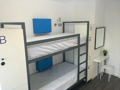 Chameleon Youth Hostel Alicante Photos