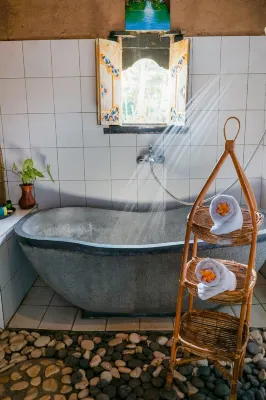 Villa JJ and Spa Ubud الترفيه والتسلية Photos