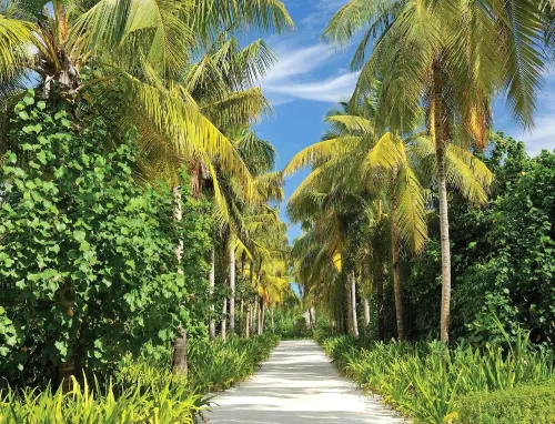 Ayada Maldives Рядом с отелем Photos