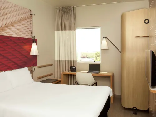 Ibis Paranagua Photos
