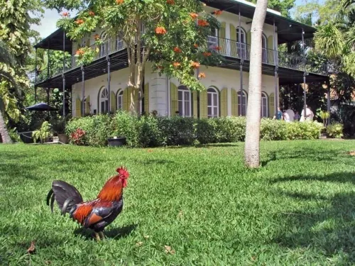 DoubleTree by Hilton Hotel Grand Key - Key West Außen Photos