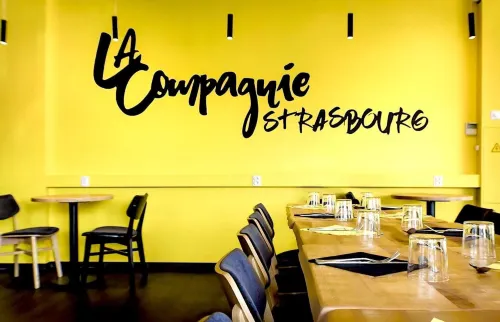 Ibis Strasbourg Aéroport Le Zénith Espaces Affaires Photos