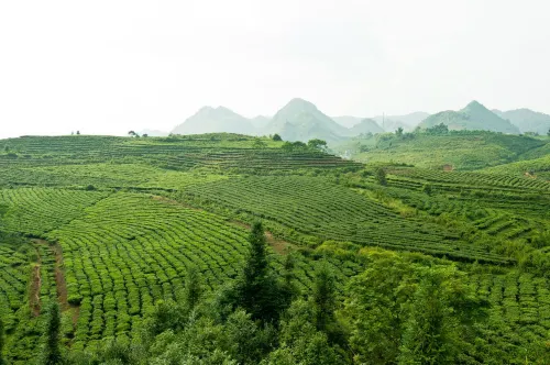 Khách sạn Mường Thanh Lai Châu Nổi bật Photos