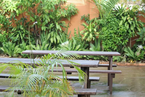 Pacific Paradise Motel Area Publik Photos