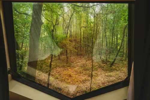 Utopia Hotel - Art & Nature Hotel À proximité de l'hôtel Photos