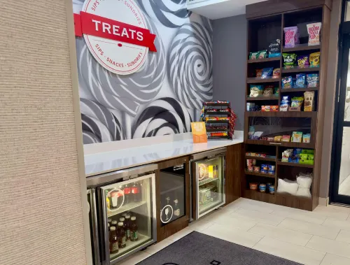 Hampton Inn Houston-Brookhollow Public Areas Photos