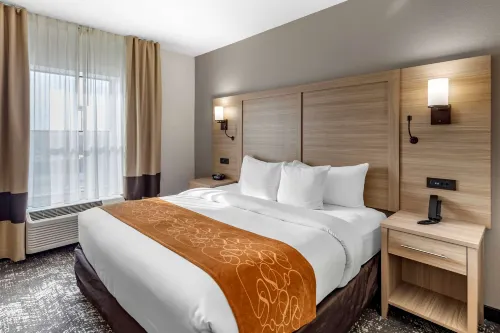 Comfort Suites Anderson-Clemson Photos