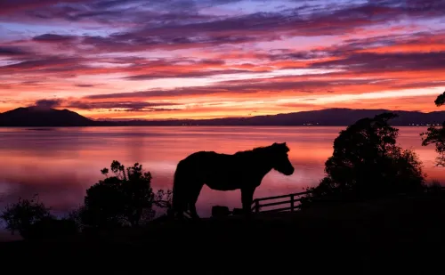 On the Point - Lake Rotorua À proximité de l'hôtel Photos