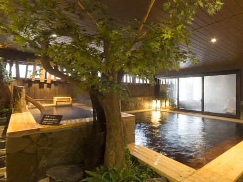 Dormy Inn Toyama Natural Hot Spring Camere Photos