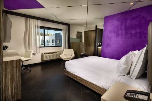 The Moment Hotel Rooms Photos