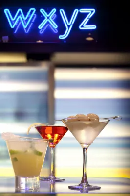 Aloft Silicon Valley Leisure & Recreation Photos