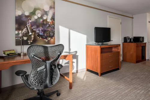 Hilton Garden Inn Irvine East/Lake Forest Camere Photos