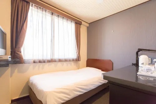 Shimizu City Hotel Photos