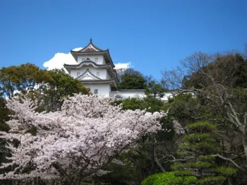 Akashi Castle Hotel À proximité de l'hôtel Photos