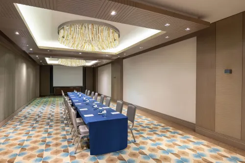 Windsor Hotel & Convention Center Istanbul Espaces Affaires Photos