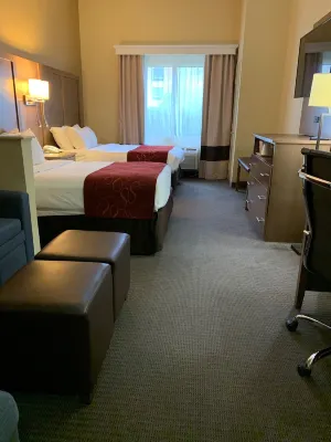 Comfort Suites Bush InterContinental Airport Chambres Photos