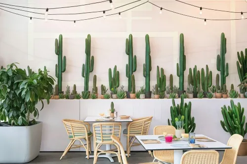 Bannisters Port Stephens Dining Photos