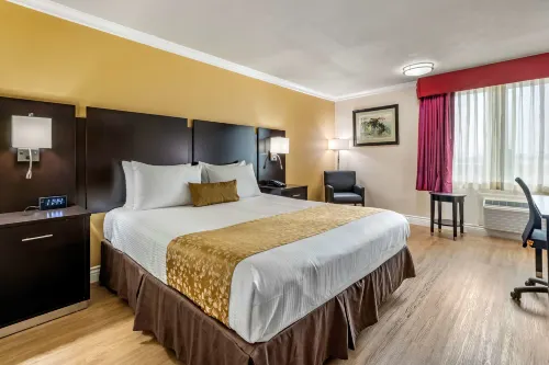 Best Western Plus South Bay Hotel Rooms Photos