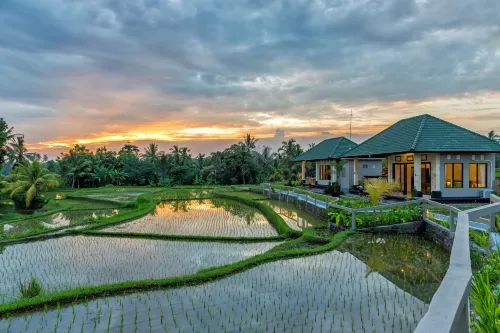 Cahaya Ubud Villa Area Publik Photos