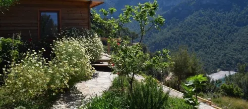 Kabak Avalon Bungalows Extérieur Photos