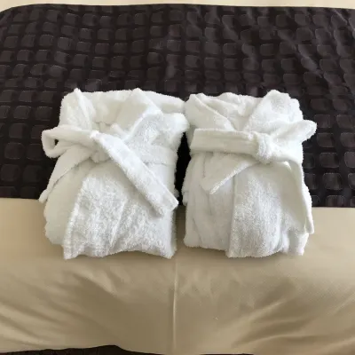 Ogaki Forum Hotel Photos