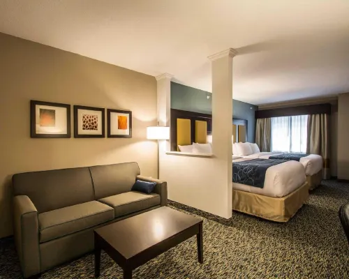 Comfort Suites Fort Lauderdale Airport South & Cruise Port Chambres Photos