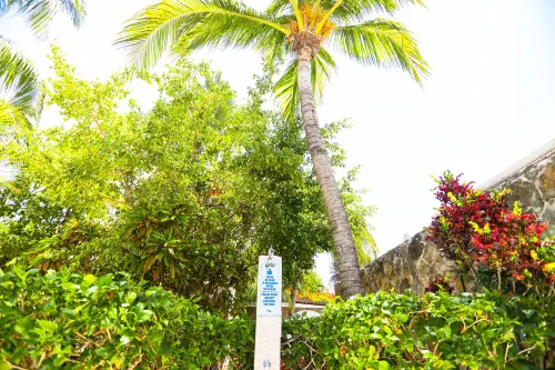 Hotel Caribe Internacional Cancun Рядом с отелем Photos