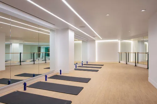 The Royal Sonesta Washington DC Capitol Hill Leisure & Recreation Photos