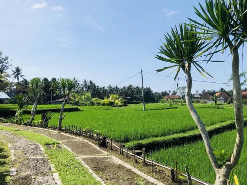 Villa JJ and Spa Ubud Dekat Hotel Photos
