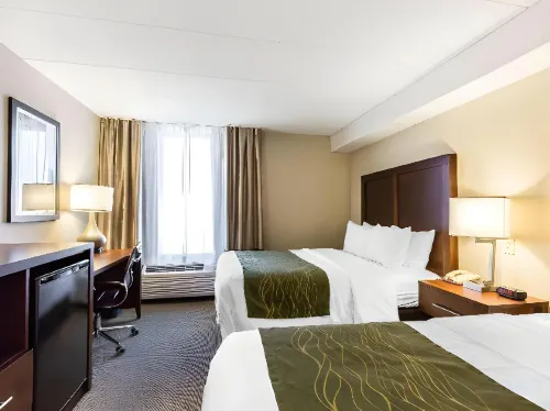 Comfort Inn Shady Grove - Gaithersburg - Rockville À ne pas manquer Photos