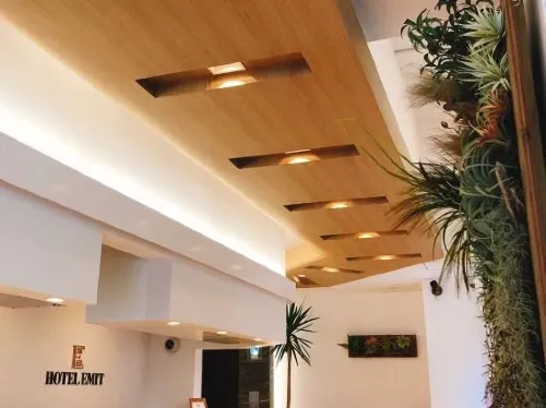 Hotel Emit Ueno Public Areas Photos