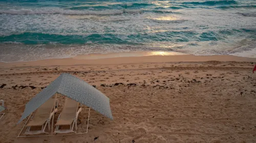 Oleo Cancun Playa All Inclusive Resort À proximité de l'hôtel Photos
