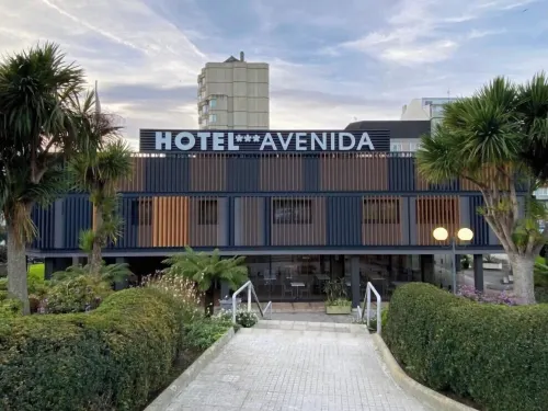 Hotel Avenida Exterior Photos