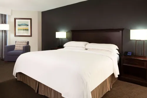 Hilton Houston NASA Clear Lake Zimmer Photos
